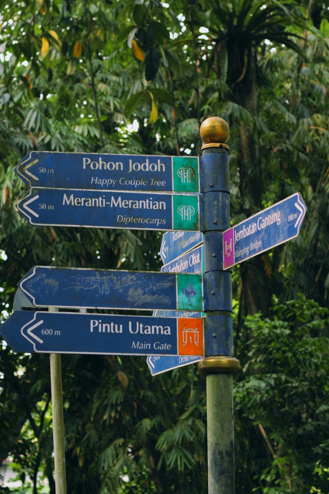 Dawn Fenland traveler experience